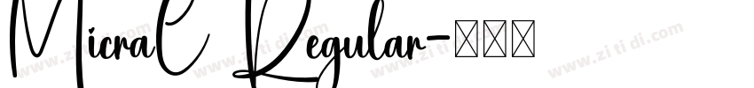 MicraC Regular字体转换